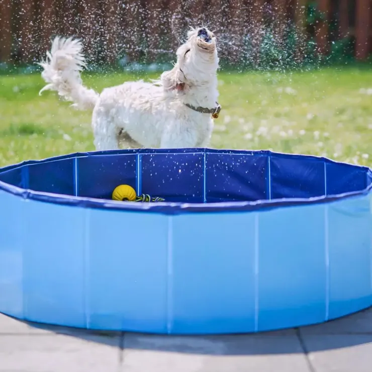 Active Canis Dog Pool | 100X30 cm