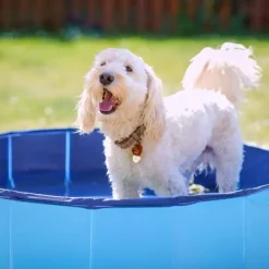 Active Canis Dog Pool | 100X30 cm
