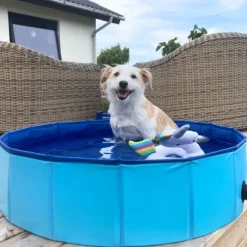 Active Canis Dog Pool | 100X30 cm