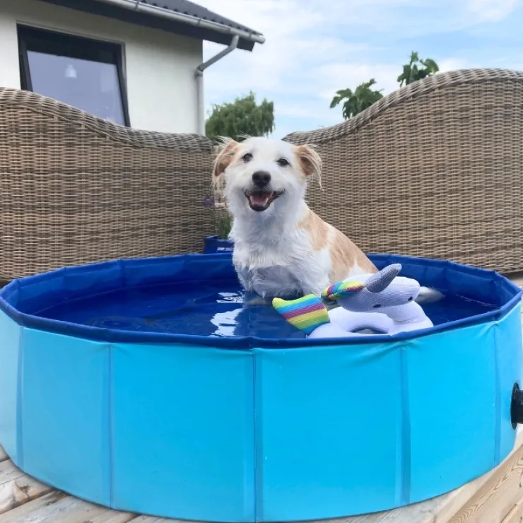 Active Canis Dog Pool | 100X30 cm