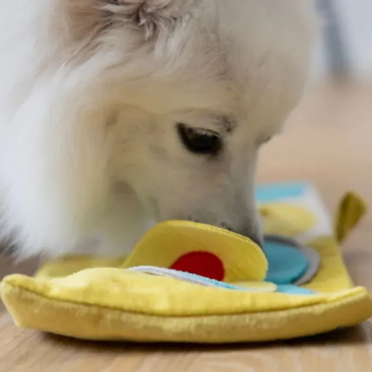 AFP Hvalpeaktivitetsbog | Puppy Nose Work