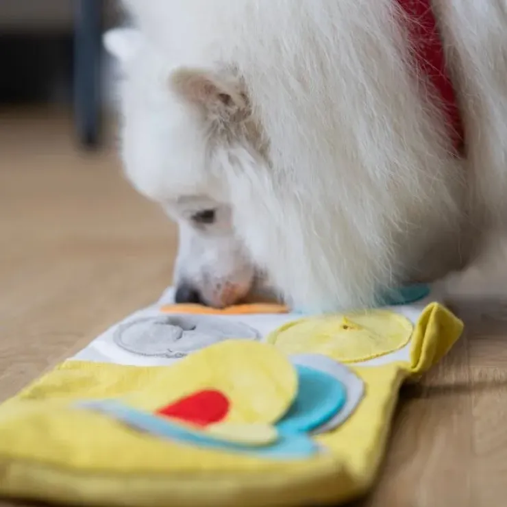 AFP Hvalpeaktivitetsbog | Puppy Nose Work