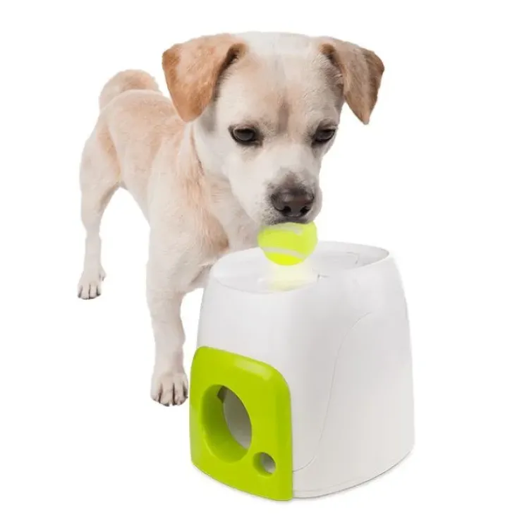 AFP Interactives - Fetch'N Treat