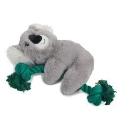 AFP Safari Kevin Koala m. reb