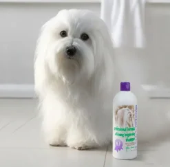 #1 ALL SYSTEMS | Professional Formula Whitening Shampoo | OUTLET