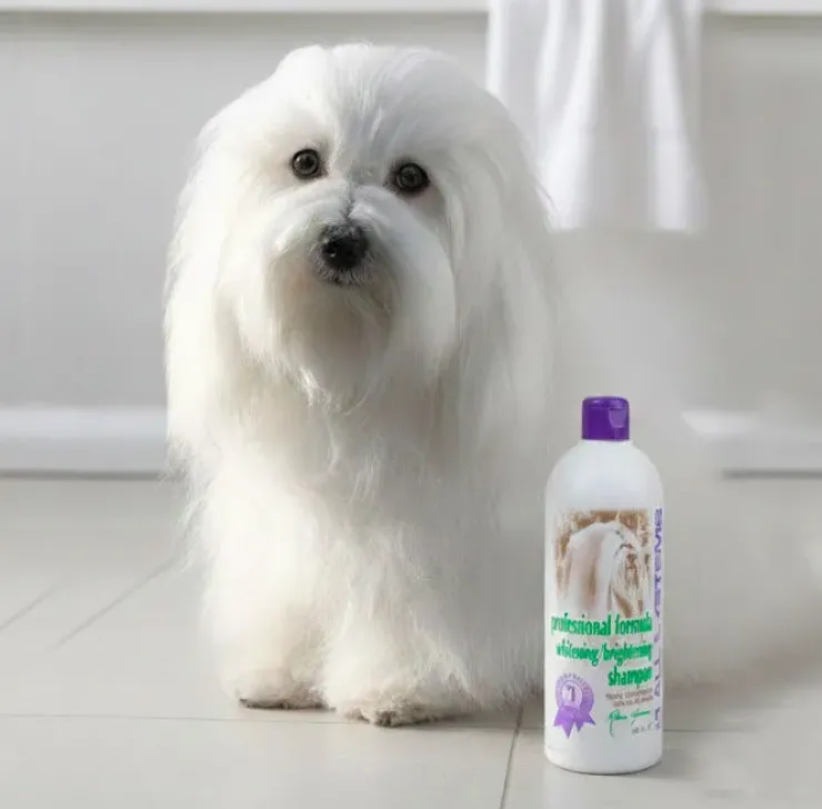 #1 ALL SYSTEMS | Professional Formula Whitening Shampoo | OUTLET