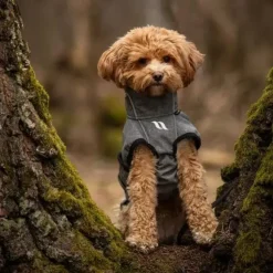 Back on Track BARK Softshell hundedækken | Fuld Refleks