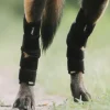 Back on Track Dixie Hasebandage