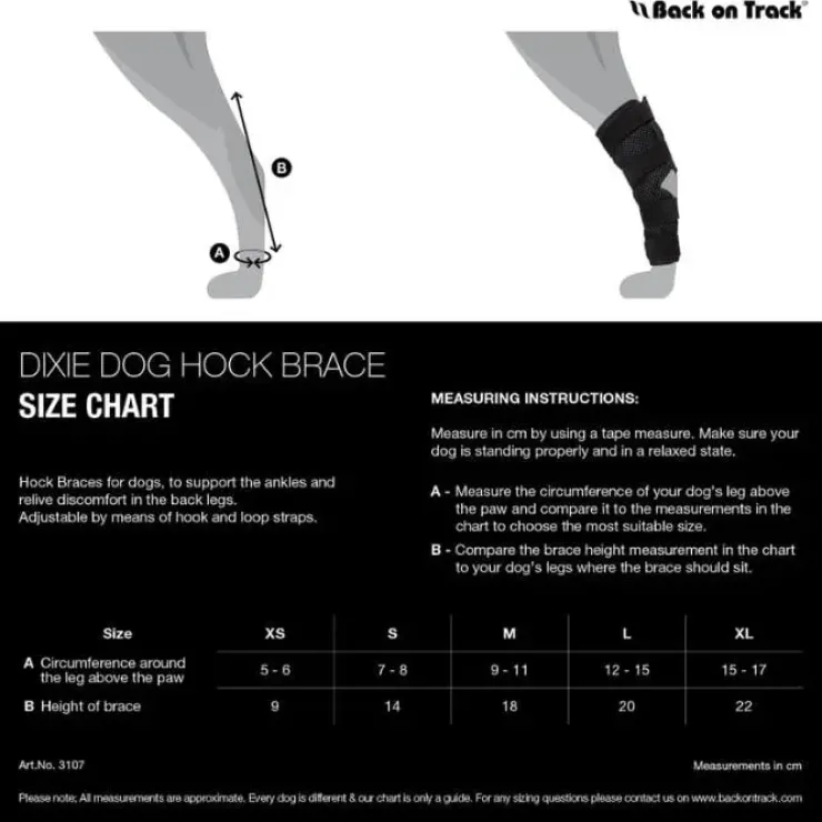 Back on Track Dixie Hasebandage