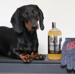B&B Sølv Shampoo | Kolloid