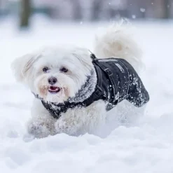 BonAPet Vinterdækken | M. Sele