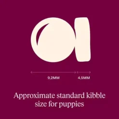 Carnilove Active Dog Salmon & Turkey, Puppy All Breeds | Tørfoder