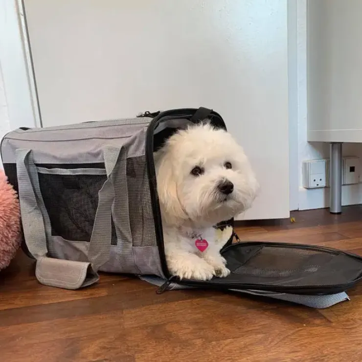 Casual Flytaske | Rejsetaske