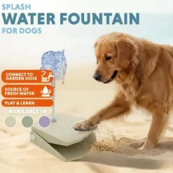 CoolPets Splash Water Fountain | Olivengrøn