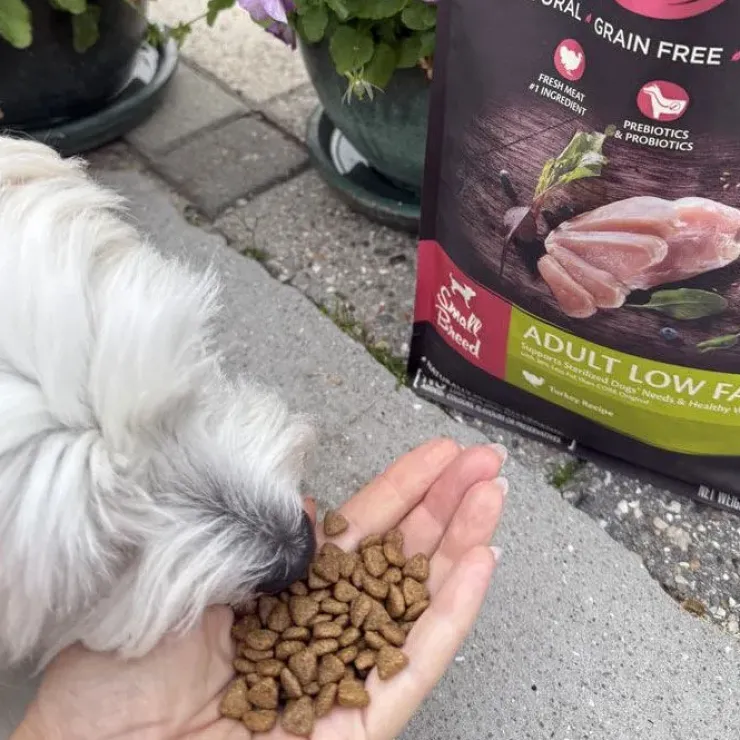 CORE Adult Low Fat - Small Breed | Tørfoder