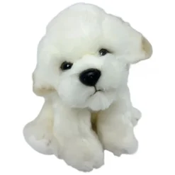 Coton de Tulear /Bichon Frise bamse/Ollie