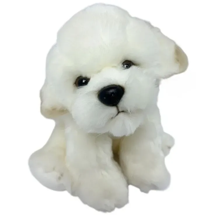 Coton de Tulear /Bichon Frise bamse/Ollie