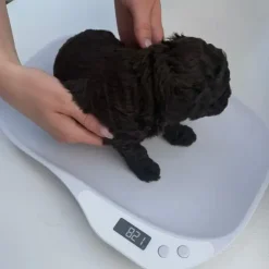 Digitalvægt til hvalpe | op til 15 kg.