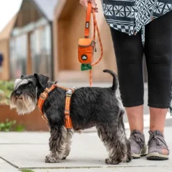 DOG Copenhagen Comfort Walk Air™ selen | Step in