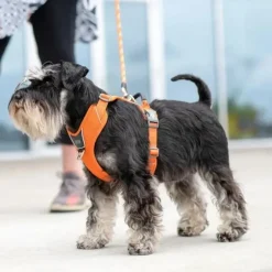 DOG Copenhagen Comfort Walk Pro hundesele