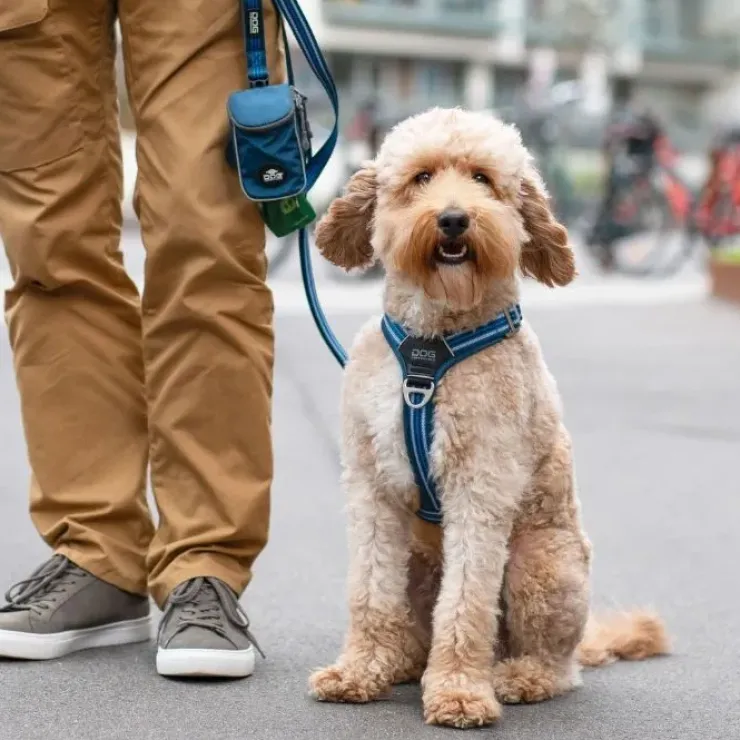 DOG Copenhagen Pouch Organizer™ Leash Bag