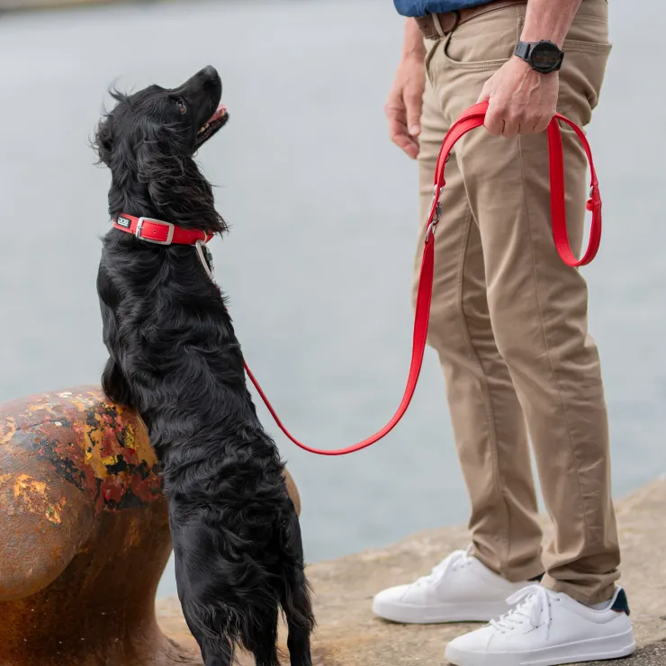 Dog Copenhagen Urban Classic™ Hundehalsbånd