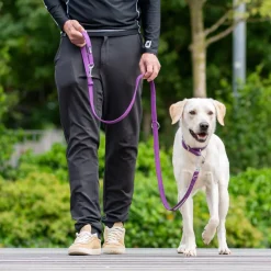 Dog Copenhagen Urban Classic™ Hundesnor