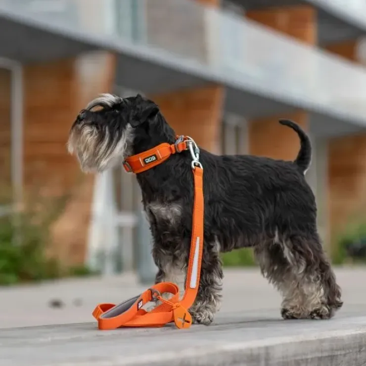 DOG Copenhagen Urban Trail™ Line