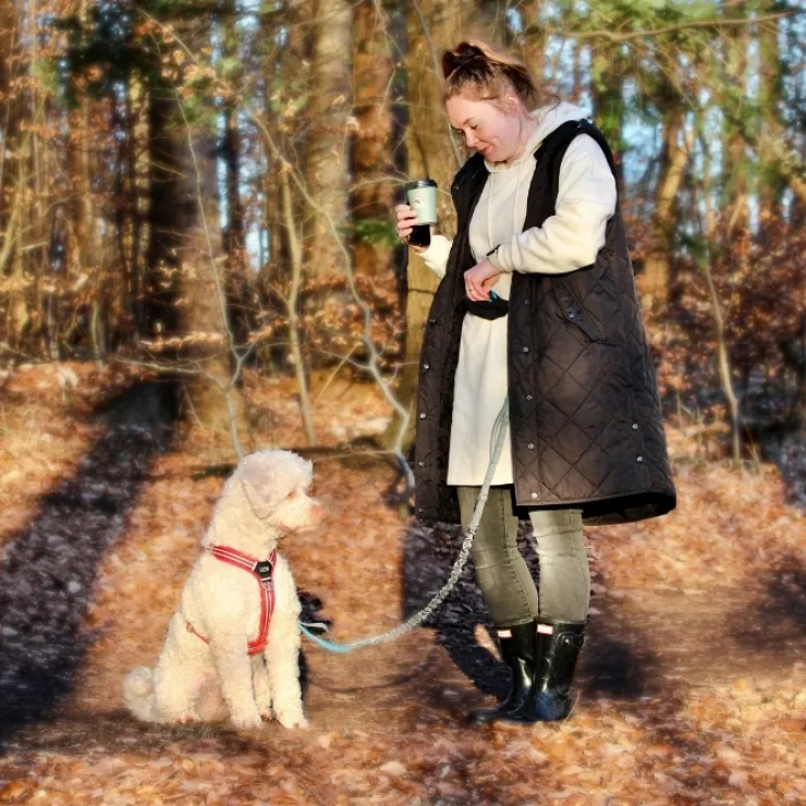 DogLemi Løbeline med bælte
