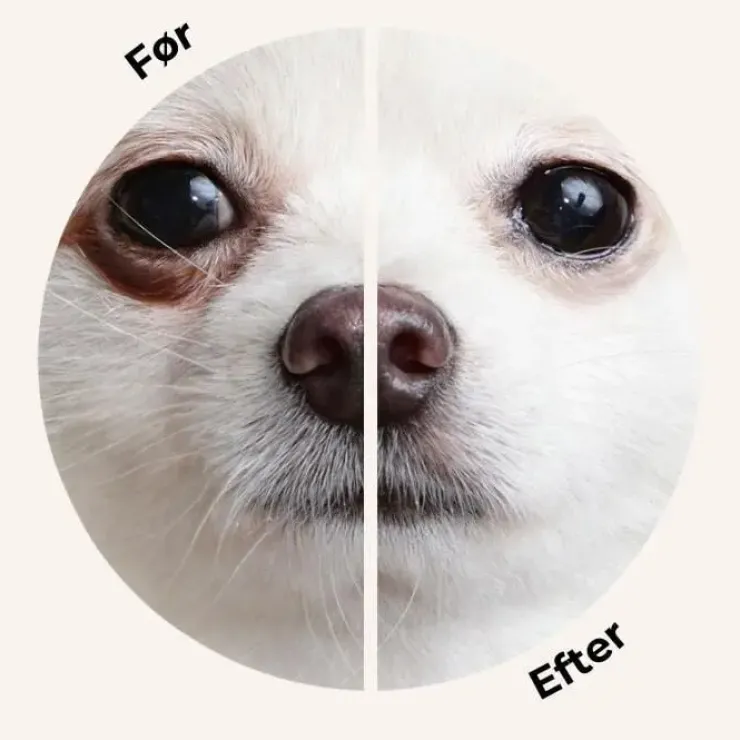 Eye Envy Powder