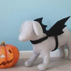 Flagermusvinger til hunde