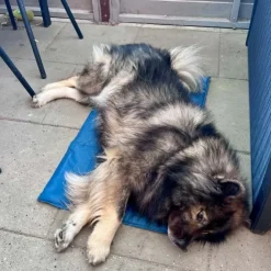 Freedog Hygge Series kølemåtte