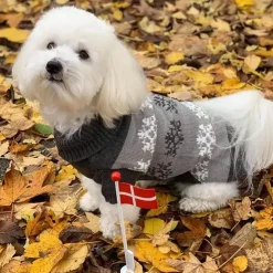 Grå hundesweater med snefnug