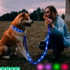 Hundesnor med LED-lys | Genopladelig