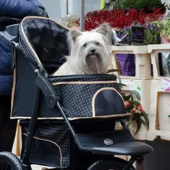 InnoPet Adventure | Hundeklapvogn