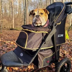 InnoPet Adventure | Hundeklapvogn