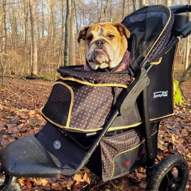 InnoPet Adventure | Hundeklapvogn