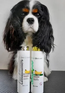 ISB Banana Conditioner
