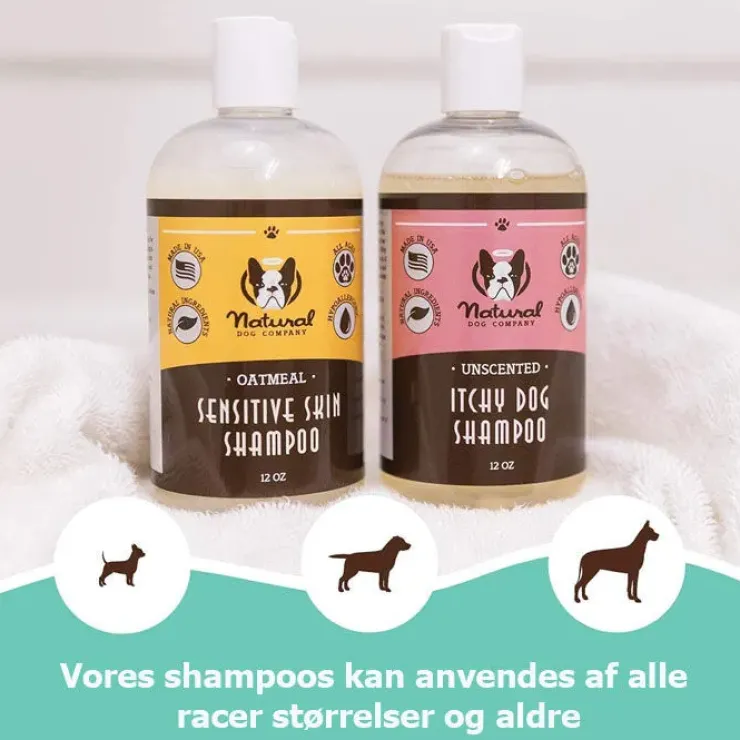Itchy Dog Shampoo