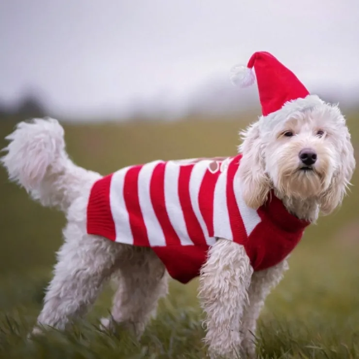 Julesweater m. striber