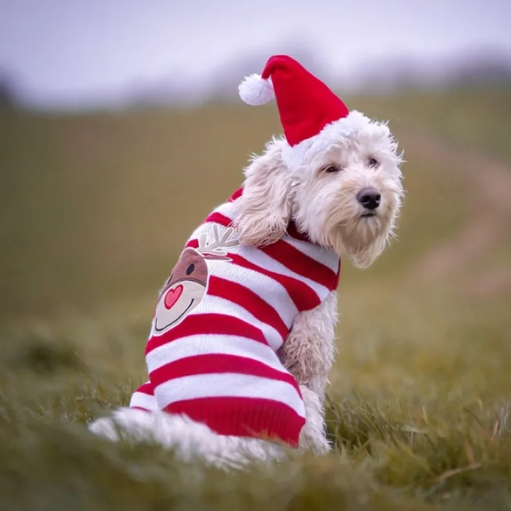 Julesweater m. striber
