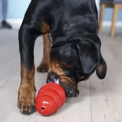 KONG Original