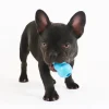 KONG Puppy Small| hvalpelegetøj