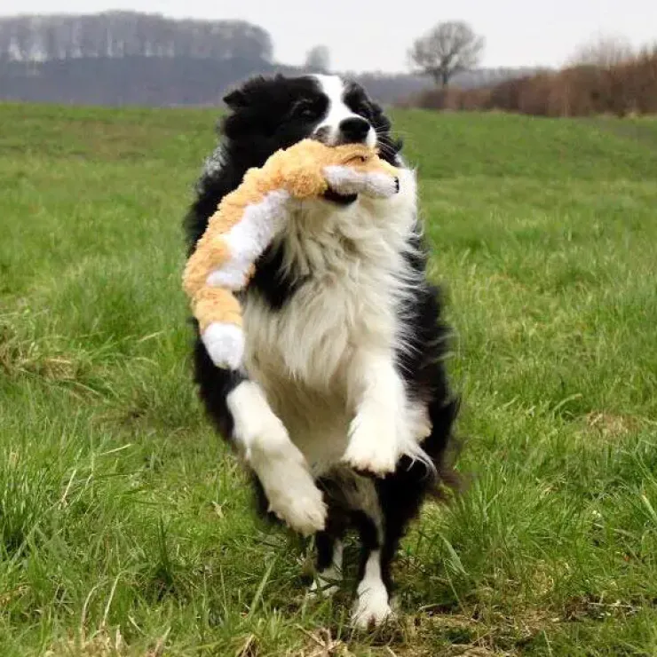 KONG Scrunch Knots dyr