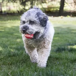 KONG Signature Balls, 2 /pk