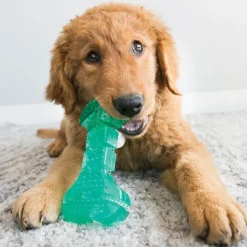 KONG Squeezz Dental Stick