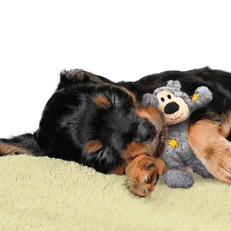 KONG Wild Knots Bears | Bamse med reb