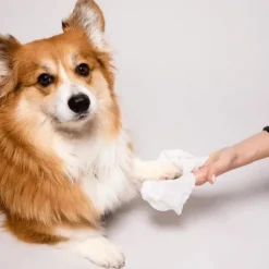 Natural Dog Company Grooming Wipes | 50 stk