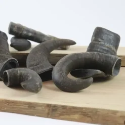 NATURBENBuffalo Horn