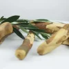 NATURBEN Oliventræ Sticks